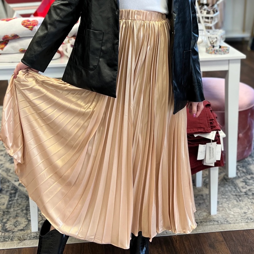 Wanna Dance skirt (NWT)